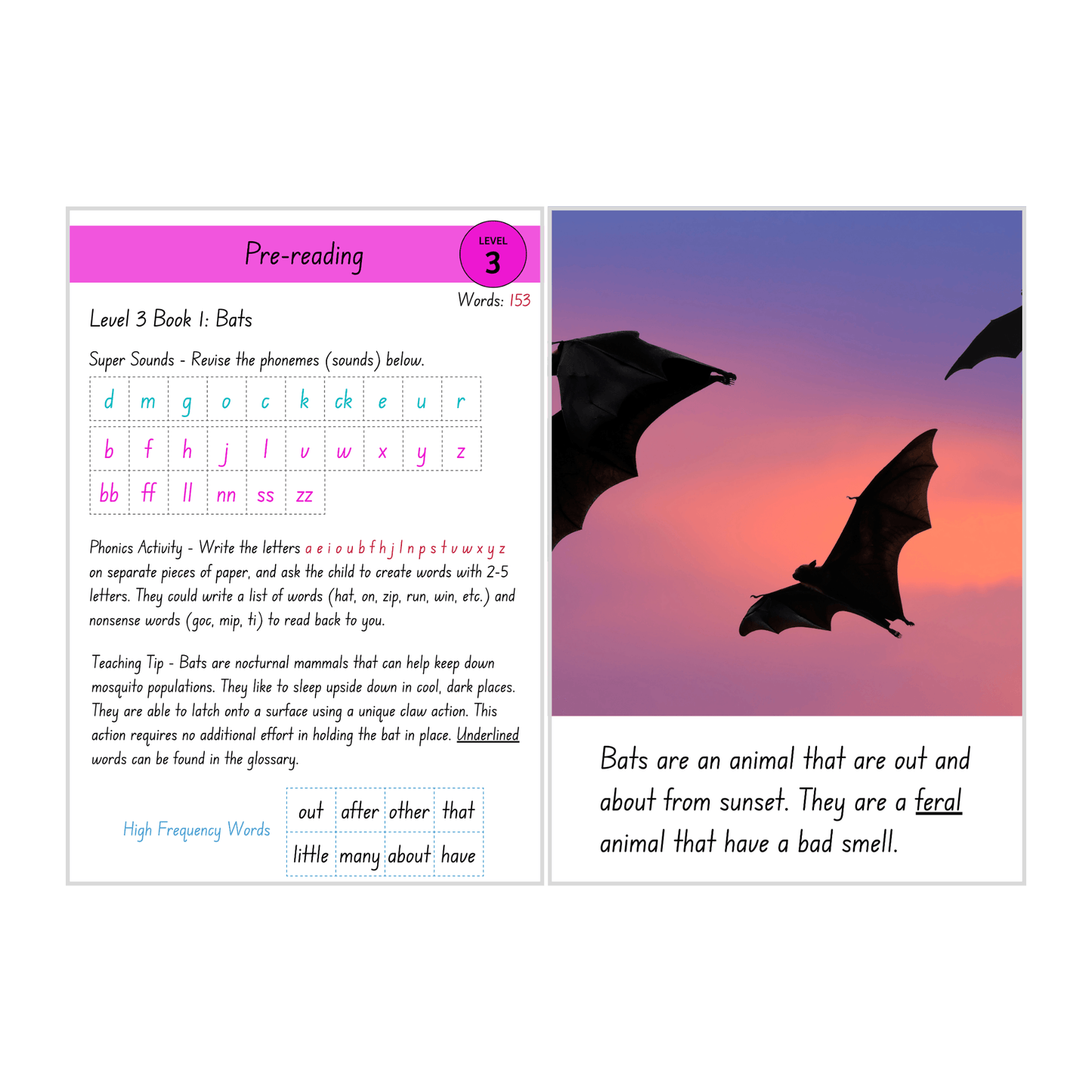 Bats (Level 3 Book 1 - Non-Fiction Series)