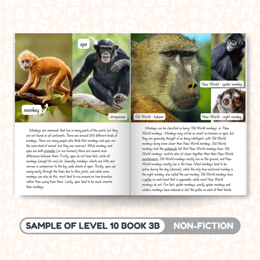 SuperLit Phonics Decodable Readers Sample Non-Fiction B Level 10