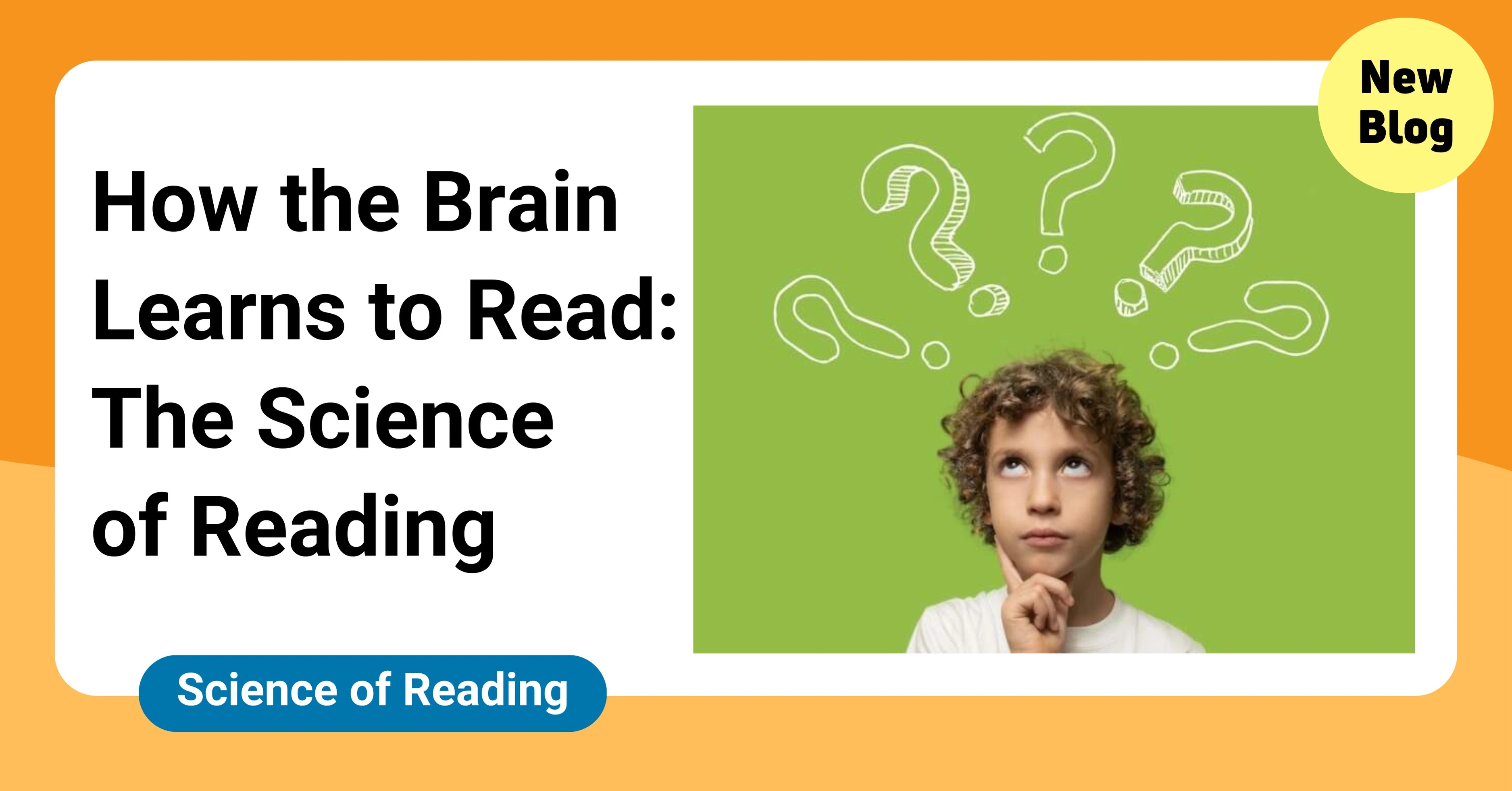 Learning Science By Reading How the Brain Learns to Read: The Science of Reading – SuperLit Readers ...