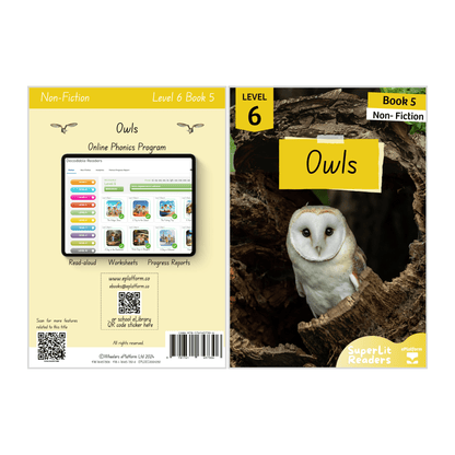 Owls (Level 6 Book 5 - Non-Fiction Series)