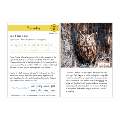 Owls (Level 6 Book 5 - Non-Fiction Series)