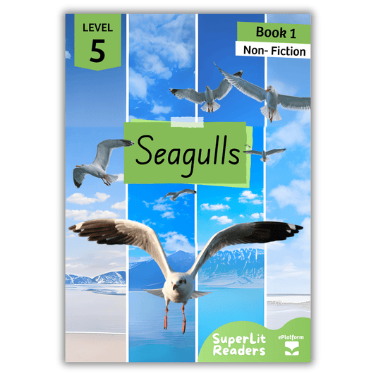 Seagulls (Level 5 Book 1 - Non-Fiction Series) - SuperLit Readers by EPlatform Limited