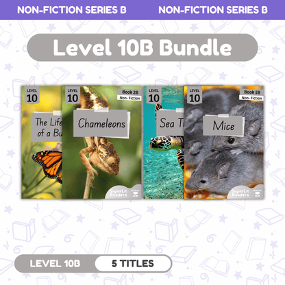 SuperLit Phonics Decodable Readers Non Fiction Level 10B Single Set