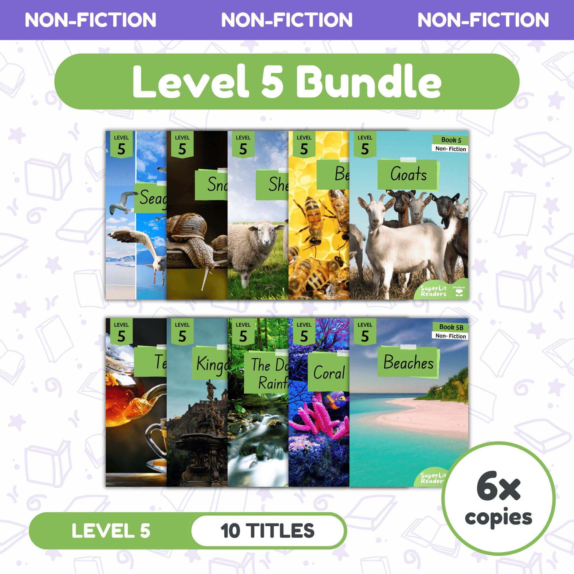 SuperLit Phonics Decodable Readers Non Fiction Level 5 Six Sets