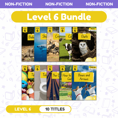 SuperLit Phonics Decodable Readers Non Fiction Level 6 Single Set
