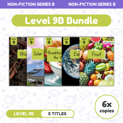 SuperLit Phonics Decodable Readers Non Fiction Level 9B Six Sets