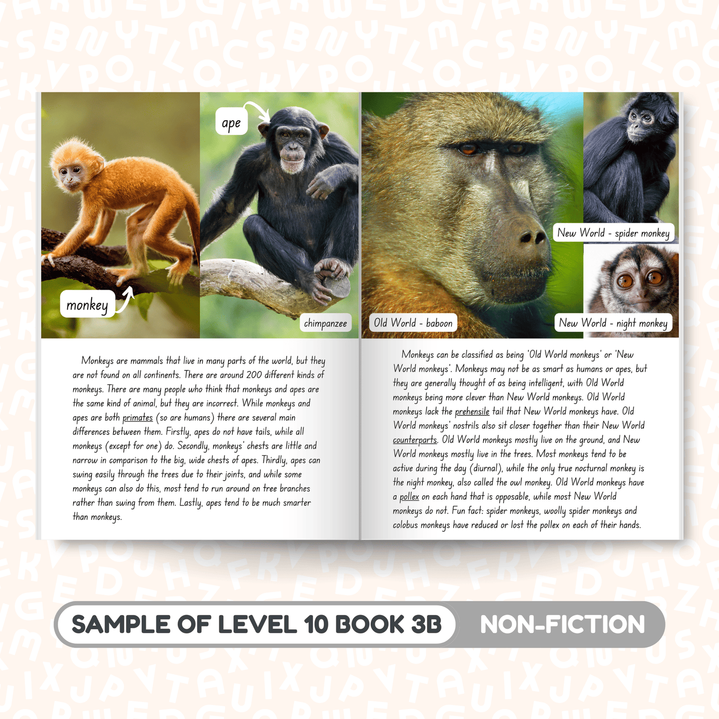 SuperLit Phonics Decodable Readers Sample Non-Fiction B Level 10